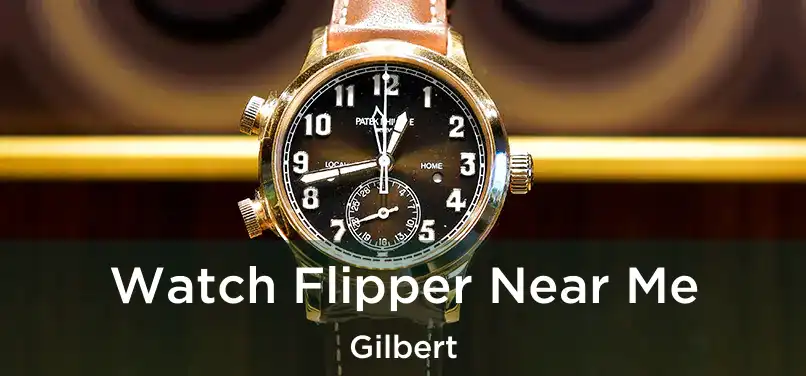 Watch Flipper Near Me Gilbert